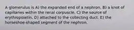 A glomerulus is A) the expanded end of a nephron. B) a knot of capillaries within the renal corpuscle. C) the source of erythropoietin. D) attached to the collecting duct. E) the horseshoe-shaped segment of the nephron.