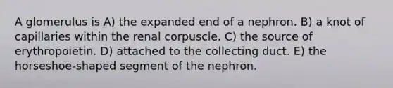 A glomerulus is A) the expanded end of a nephron. B) a knot of capillaries within the renal corpuscle. C) the source of erythropoietin. D) attached to the collecting duct. E) the horseshoe-shaped segment of the nephron.