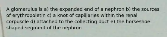 A glomerulus is a) the expanded end of a nephron b) the sources of erythropoietin c) a knot of capillaries within the renal corpuscle d) attached to the collecting duct e) the horseshoe-shaped segment of the nephron