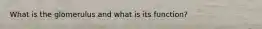 What is the glomerulus and what is its function?