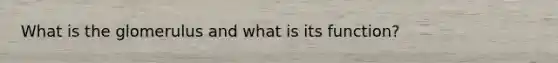 What is the glomerulus and what is its function?
