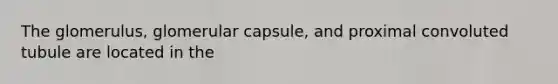 The glomerulus, glomerular capsule, and proximal convoluted tubule are located in the