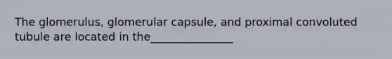 The glomerulus, glomerular capsule, and proximal convoluted tubule are located in the_______________