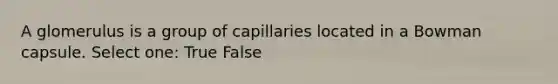 A glomerulus is a group of capillaries located in a Bowman capsule. Select one: True False