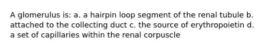 A glomerulus is: a. a hairpin loop segment of the renal tubule b. attached to the collecting duct c. the source of erythropoietin d. a set of capillaries within the renal corpuscle