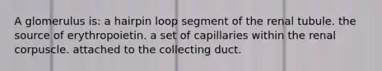 A glomerulus is: a hairpin loop segment of the renal tubule. the source of erythropoietin. a set of capillaries within the renal corpuscle. attached to the collecting duct.