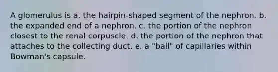 A glomerulus is a. the hairpin-shaped segment of the nephron. b. the expanded end of a nephron. c. the portion of the nephron closest to the renal corpuscle. d. the portion of the nephron that attaches to the collecting duct. e. a "ball" of capillaries within Bowman's capsule.