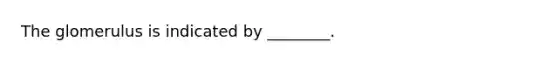 The glomerulus is indicated by ________.