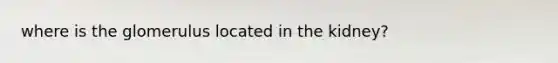 where is the glomerulus located in the kidney?