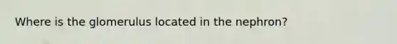 Where is the glomerulus located in the nephron?