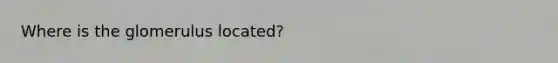 Where is the glomerulus located?