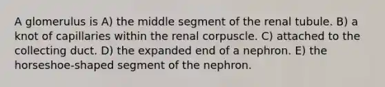 A glomerulus is A) the middle segment of the renal tubule. B) a knot of capillaries within the renal corpuscle. C) attached to the collecting duct. D) the expanded end of a nephron. E) the horseshoe-shaped segment of the nephron.