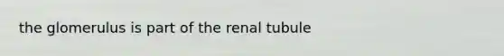 the glomerulus is part of the renal tubule