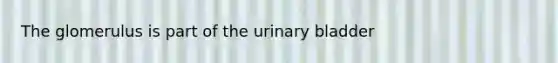 The glomerulus is part of the urinary bladder