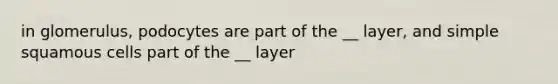 in glomerulus, podocytes are part of the __ layer, and simple squamous cells part of the __ layer