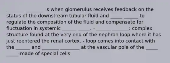 _______ ________ is when glomerulus receives feedback on the status of the downstream tubular fluid and _____ ______ to regulate the composition of the fluid and compensate for fluctuation in systemic ______ _____. - ______ _______: complex structure found at the very end of the nephron loop where it has just reentered the renal cortex. - loop comes into contact with the ______ and _______ ________ at the vascular pole of the _____ _____-made of special cells