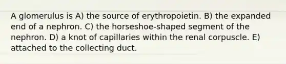 A glomerulus is A) the source of erythropoietin. B) the expanded end of a nephron. C) the horseshoe-shaped segment of the nephron. D) a knot of capillaries within the renal corpuscle. E) attached to the collecting duct.