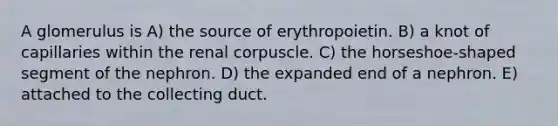 A glomerulus is A) the source of erythropoietin. B) a knot of capillaries within the renal corpuscle. C) the horseshoe-shaped segment of the nephron. D) the expanded end of a nephron. E) attached to the collecting duct.