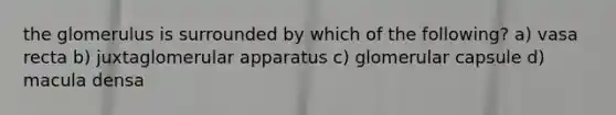 the glomerulus is surrounded by which of the following? a) vasa recta b) juxtaglomerular apparatus c) glomerular capsule d) macula densa