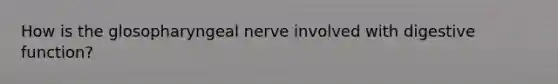 How is the glosopharyngeal nerve involved with digestive function?