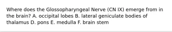 Where does the Glossopharyngeal Nerve (CN IX) emerge from in the brain? A. occipital lobes B. lateral geniculate bodies of thalamus D. pons E. medulla F. brain stem