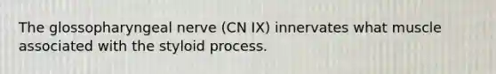 The glossopharyngeal nerve (CN IX) innervates what muscle associated with the styloid process.