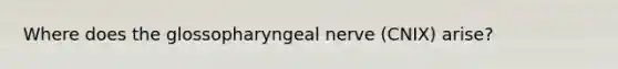 Where does the glossopharyngeal nerve (CNIX) arise?