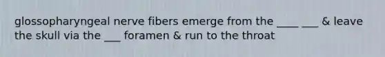 glossopharyngeal nerve fibers emerge from the ____ ___ & leave the skull via the ___ foramen & run to the throat