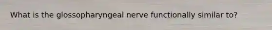 What is the glossopharyngeal nerve functionally similar to?