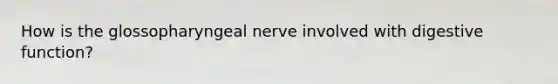 How is the glossopharyngeal nerve involved with digestive function?