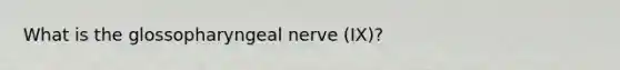 What is the glossopharyngeal nerve (IX)?