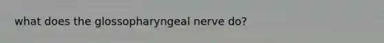 what does the glossopharyngeal nerve do?