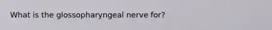 What is the glossopharyngeal nerve for?