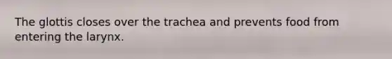 The glottis closes over the trachea and prevents food from entering the larynx.