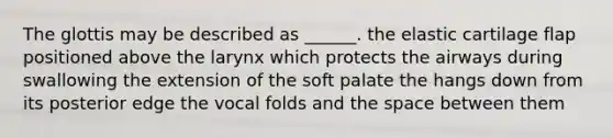 The glottis may be described as ______. the elastic cartilage flap positioned above the larynx which protects the airways during swallowing the extension of the soft palate the hangs down from its posterior edge the vocal folds and the space between them