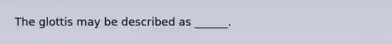 The glottis may be described as ______.