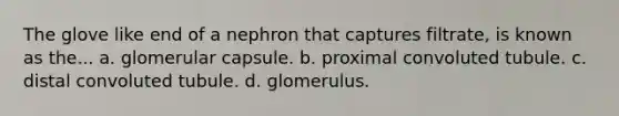 The glove like end of a nephron that captures filtrate, is known as the... a. glomerular capsule. b. proximal convoluted tubule. c. distal convoluted tubule. d. glomerulus.