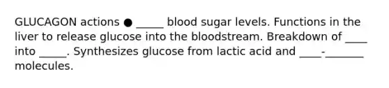 GLUCAGON actions ● _____ blood sugar levels. Functions in the liver to release glucose into the bloodstream. Breakdown of ____ into _____. Synthesizes glucose from lactic acid and ____-_______ molecules.