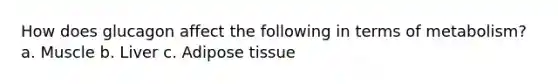 How does glucagon affect the following in terms of metabolism? a. Muscle b. Liver c. Adipose tissue