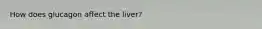 How does glucagon affect the liver?