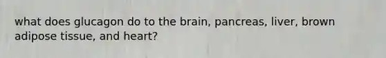 what does glucagon do to the brain, pancreas, liver, brown adipose tissue, and heart?