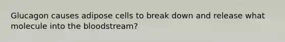 Glucagon causes adipose cells to break down and release what molecule into the bloodstream?