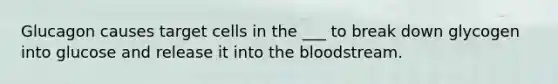 Glucagon causes target cells in the ___ to break down glycogen into glucose and release it into <a href='https://www.questionai.com/knowledge/k7oXMfj7lk-the-blood' class='anchor-knowledge'>the blood</a>stream.