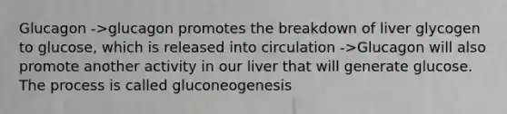 Glucagon ->glucagon promotes the breakdown of liver glycogen to glucose, which is released into circulation ->Glucagon will also promote another activity in our liver that will generate glucose. The process is called gluconeogenesis