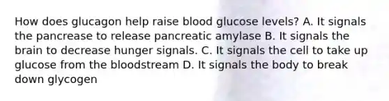 How does glucagon help raise blood glucose levels? A. It signals the pancrease to release pancreatic amylase B. It signals the brain to decrease hunger signals. C. It signals the cell to take up glucose from the bloodstream D. It signals the body to break down glycogen