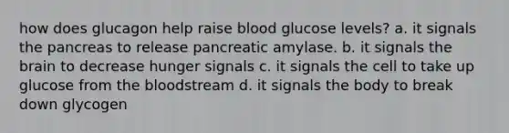 how does glucagon help raise blood glucose levels? a. it signals the pancreas to release pancreatic amylase. b. it signals the brain to decrease hunger signals c. it signals the cell to take up glucose from the bloodstream d. it signals the body to break down glycogen