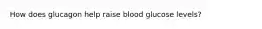 How does glucagon help raise blood glucose levels?