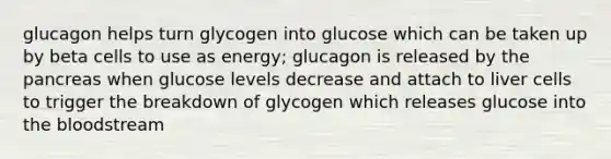 glucagon helps turn glycogen into glucose which can be taken up by beta cells to use as energy; glucagon is released by the pancreas when glucose levels decrease and attach to liver cells to trigger the breakdown of glycogen which releases glucose into the bloodstream