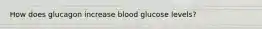 How does glucagon increase blood glucose levels?
