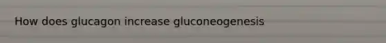 How does glucagon increase gluconeogenesis